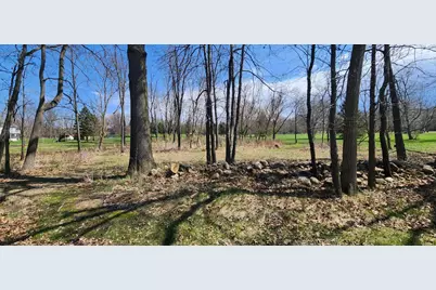 Vl Cross Road, Horton, MI 49246 - Photo 4