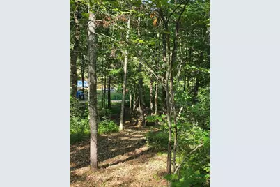 00 W Wilmas Way, Baldwin, MI 49304 - Photo 2