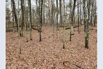 00 W Wilmas Way, Baldwin, MI 49304 - Photo 2