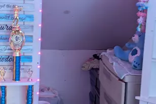 9941 Pinehurst Ave, Detroit, MI 48204 - Photo 34