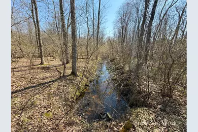 V/L 34.7 Blue Star Hwy, South Haven, MI 49090 - Photo 26