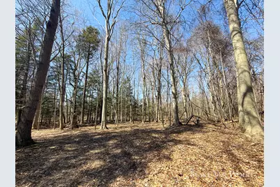 V/L 34.7 Blue Star Hwy, South Haven, MI 49090 - Photo 16