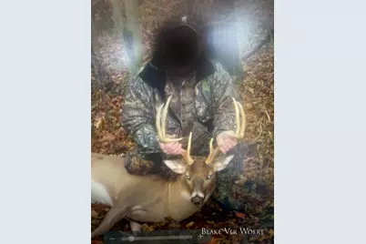 V/L 34.7 Blue Star Hwy, South Haven, MI 49090 - Photo 32