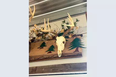 V/L 34.7 Blue Star Hwy, South Haven, MI 49090 - Photo 46