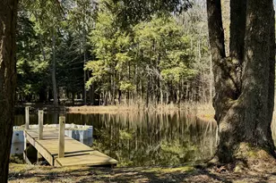 4786 Red Apple Rd, Manistee, MI 49660 - Photo 42