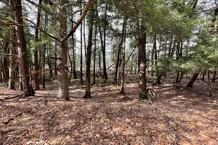 617 N Croswell Ave, White Cloud, MI 49349 - Photo 54