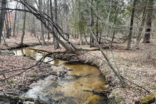 617 N Croswell Ave, White Cloud, MI 49349 - Photo 42