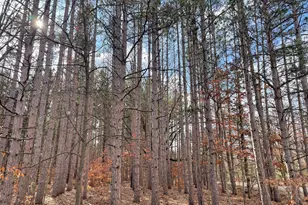 617 N Croswell Ave, White Cloud, MI 49349 - Photo 56