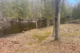 617 N Croswell Ave, White Cloud, MI 49349 - Photo 18