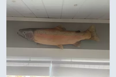 617 N Croswell Avenue, White Cloud, MI 49349 - Photo 20