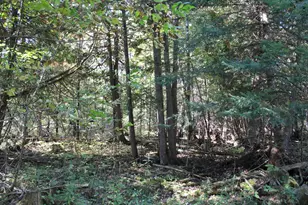 9850 Elevere Rd, Lachine, MI 49753 - Photo 68