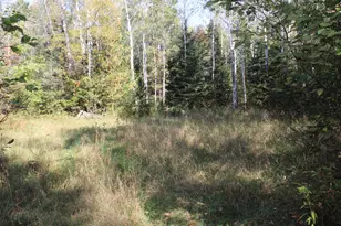 9850 Elevere Rd, Lachine, MI 49753 - Photo 70