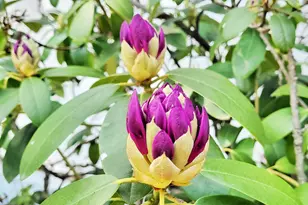 5350 E Crystal Lake Rd, Holton, MI 49425 - Photo 16