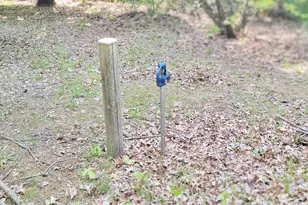 5350 E Crystal Lake Rd, Holton, MI 49425 - Photo 14