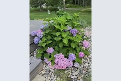 5135 Moscow Road, Spring Arbor, MI 49283 - Photo 60