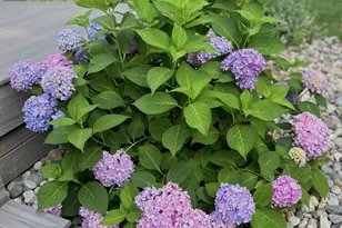 5135 Moscow Rd, Spring Arbor, MI 49283 - Photo 60