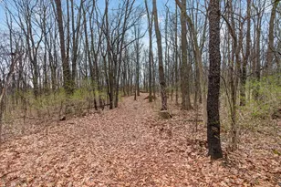 5135 Moscow Rd, Spring Arbor, MI 49283 - Photo 56