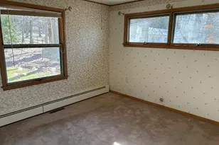 288 E 88th St, Newaygo, MI 49337 - Photo 8