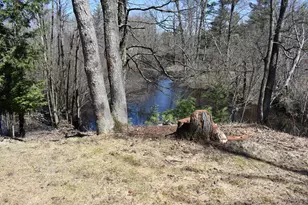 2369 S Riverbend, Baldwin, MI 49304 - Photo 6