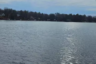 7731 White Birch Dr, Farwell, MI 48622 - Photo 8