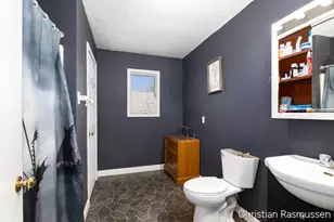 675 E Sessions Rd, Sheridan, MI 48884 - Photo 12