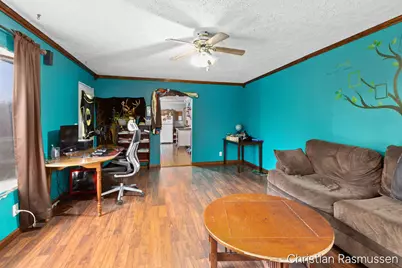 675 E Sessions Road, Sheridan, MI 48884 - Photo 4