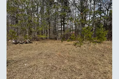 V/L 2 Acre S Saddler Road, Chase, MI 49623 - Photo 4