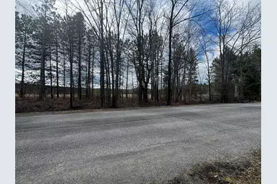 V/L 2 Acre S Saddler Road, Chase, MI 49623 - Photo 2