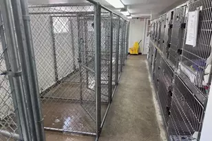 931 Rose Ave, Big Rapids, MI 49307 - Photo 36