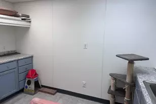 931 Rose Ave, Big Rapids, MI 49307 - Photo 48