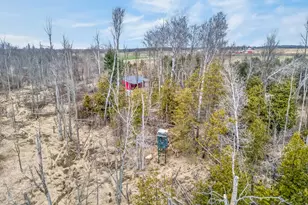 875 E Jackson Rd, Hart, MI 49420 - Photo 42