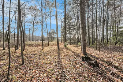 12215 Lila Court, Stanwood, MI 49346 - Photo 4