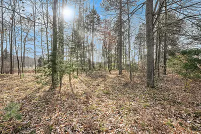 12215 Lila Court, Stanwood, MI 49346 - Photo 2