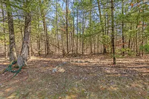 21161 W Gates Rd, Howard City, MI 49329 - Photo 22