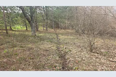 V/L 10A 120th Ave, Hart, MI 49420 - Photo 8