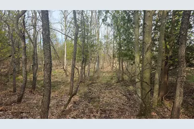 V/L 10A 120th Ave, Hart, MI 49420 - Photo 12