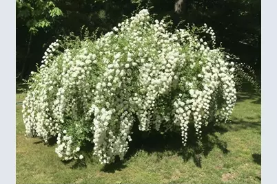 8491 W Awayin Hills Drive, New Era, MI 49446 - Photo 36