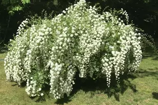 8491 W Awayin Hills Dr, New Era, MI 49446 - Photo 36