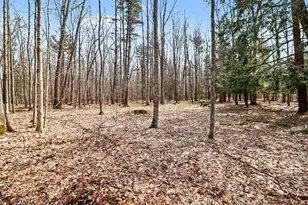 1878 E Parkdale Ave, Manistee, MI 49660 - Photo 24