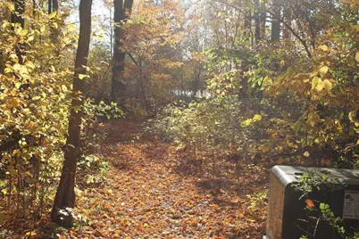 Vl Lake Drive #Lot 174/175, Allegan, MI 49010 - Photo 2