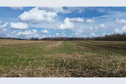 M-66, Sturgis, MI 49091 - Photo 8