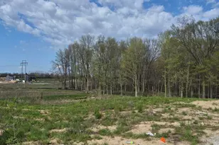 3233 Railtown Rd, Caledonia, MI 49316 - Photo 2