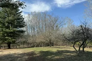 21632 90th Ave, Evart, MI 49631 - Photo 8