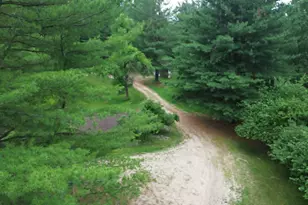 21632 90th Ave, Evart, MI 49631 - Photo 2