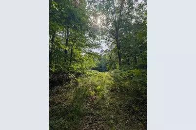 V/L N Weber Road, Muskegon, MI 49445 - Photo 4