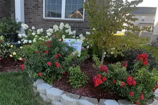 552 Wishing Tree Ln, Ann Arbor, MI 48108 - Photo 30