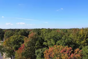 59388 41st St, Paw Paw, MI 49079 - Photo 54