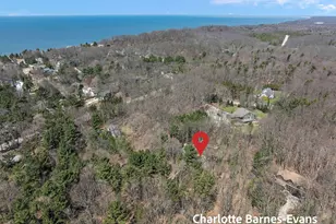 17141 Whitney Ridge, West Olive, MI 49460 - Photo 56