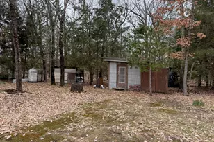 10697 N Java Rd, Irons, MI 49644 - Photo 6