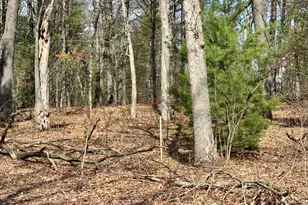 7920 E Lake Rd, Twin Lake, MI 49457 - Photo 22